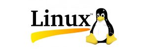 Genel Kullanım İçin Linux Sistemleri